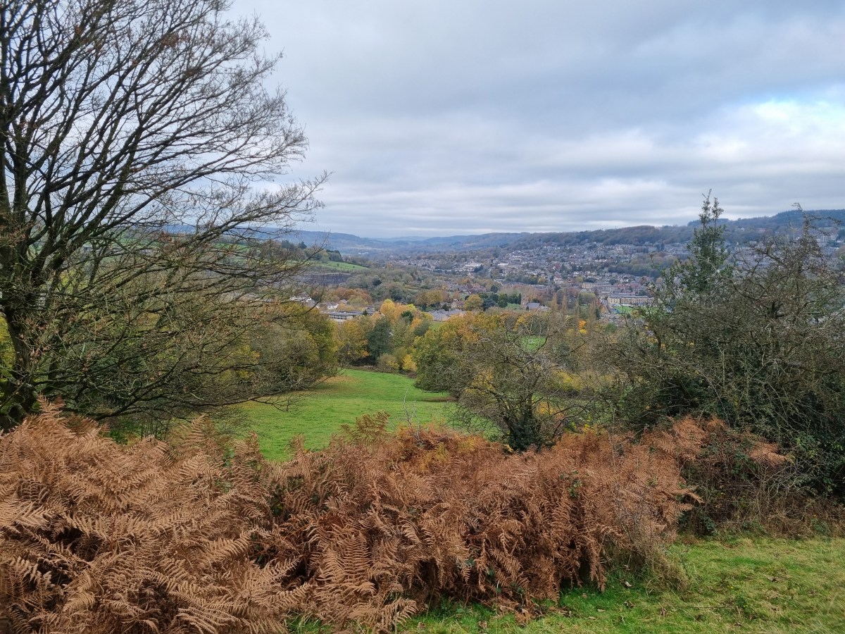 How to Run in Zone&nbsp;2